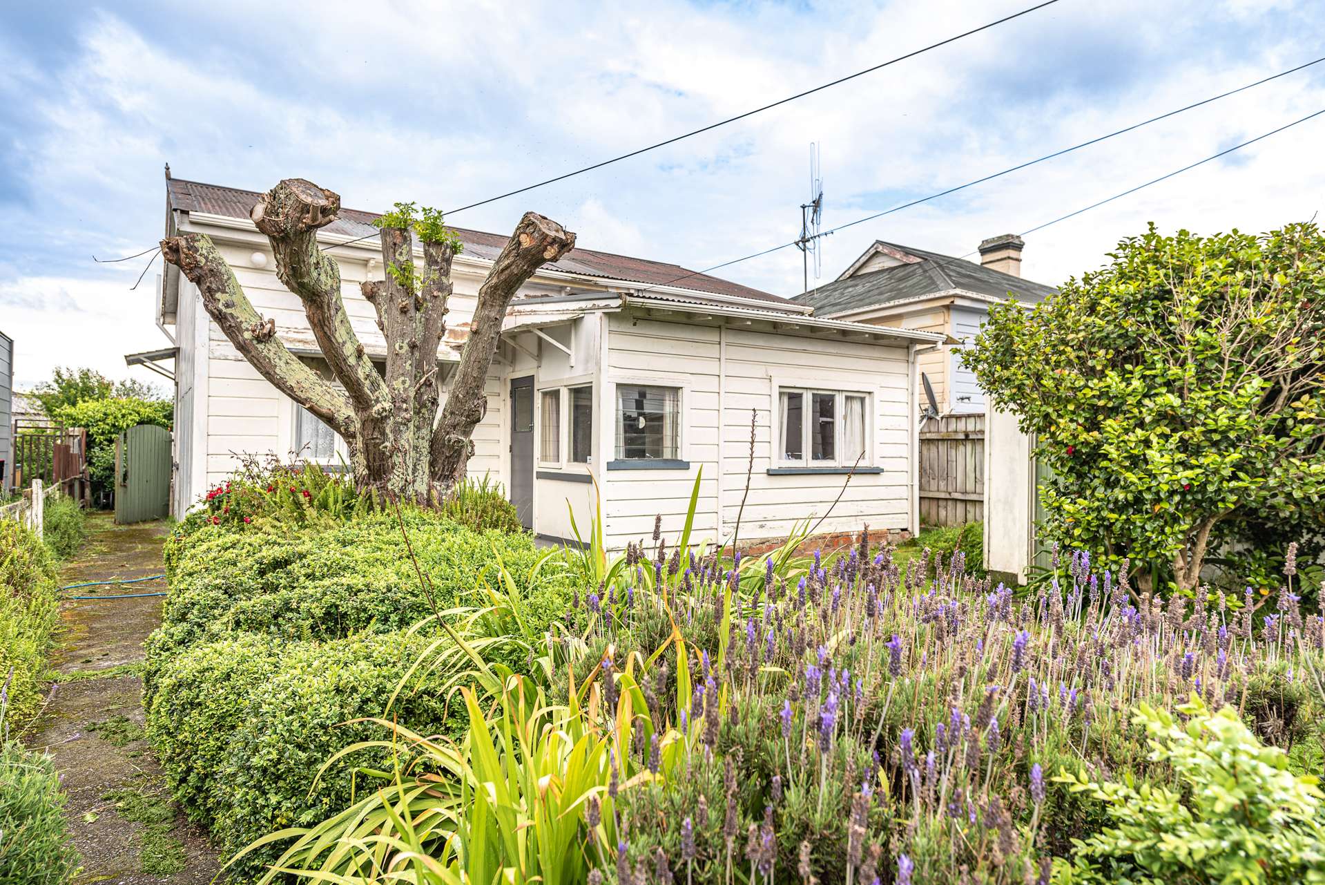 63 Smithfield Road Tawhero_0