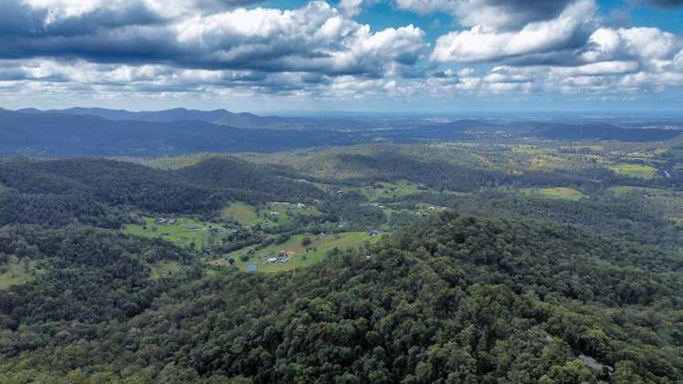 21 Wildflower Court Tamborine Mountain_9