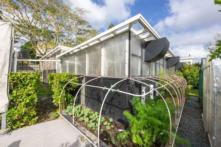 11 Piccadilly Circus Snells Beach_19