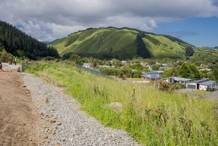 Kakariki Grove Waikanae_8