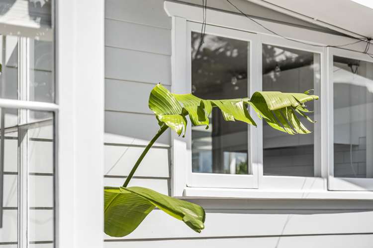 8 Cadman Avenue Waterview_26