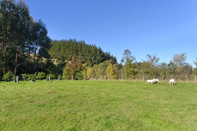 298 Aporo Road Tasman_18