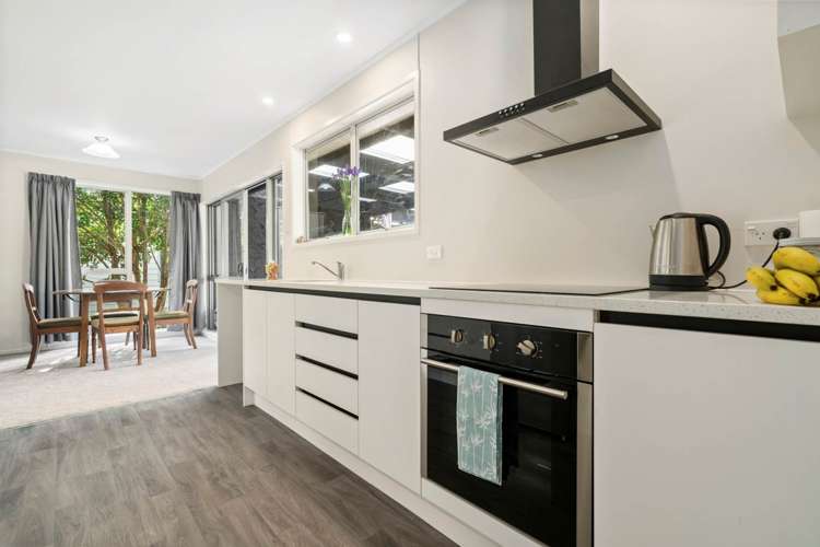 18 Leo Street Glen Eden_7