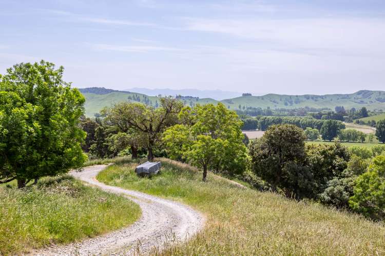 68 Eringa Road Longbush_23