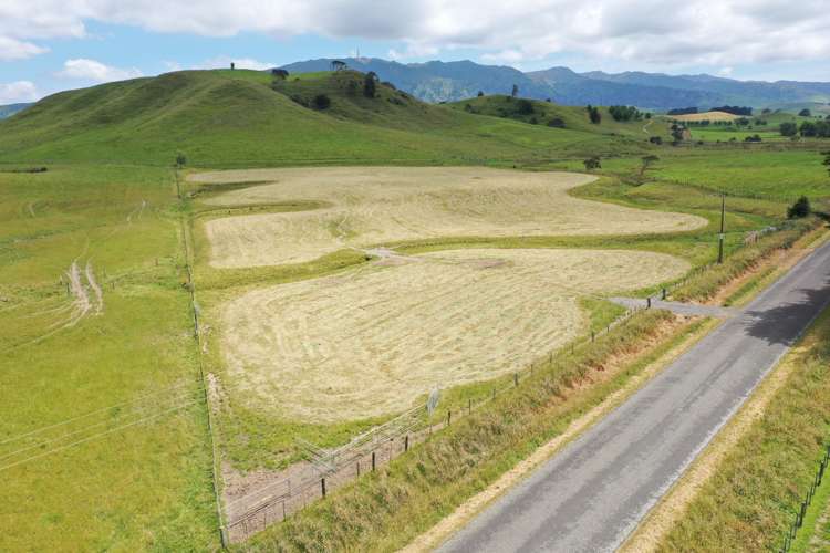 390 Pinfold Road Woodville_8