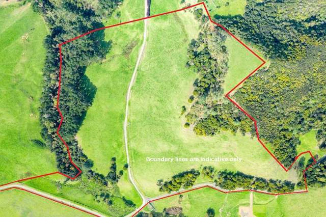 1188e Tinopai Road Tinopai_1