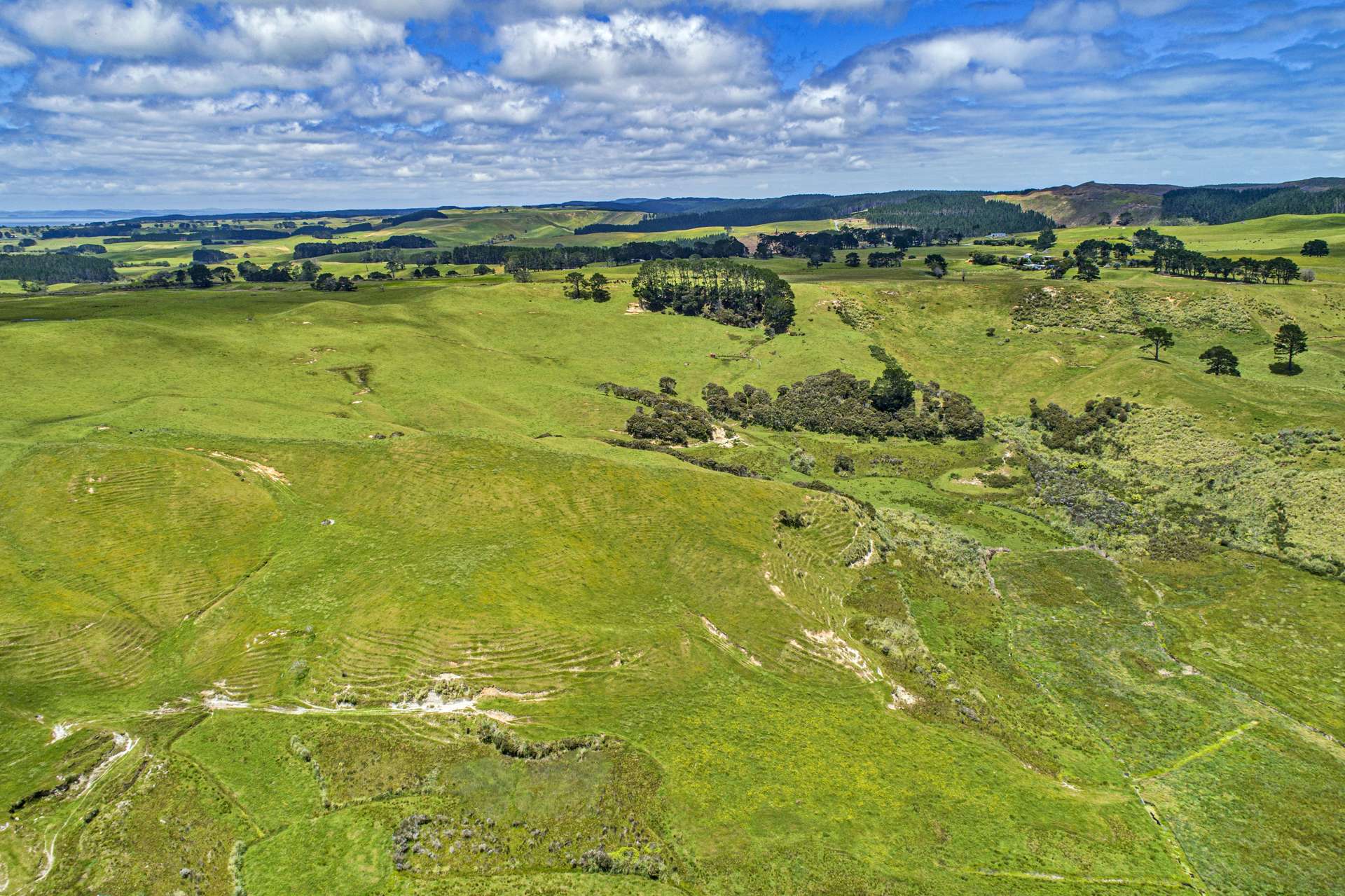 Pouto Rd Te Kopuru_0