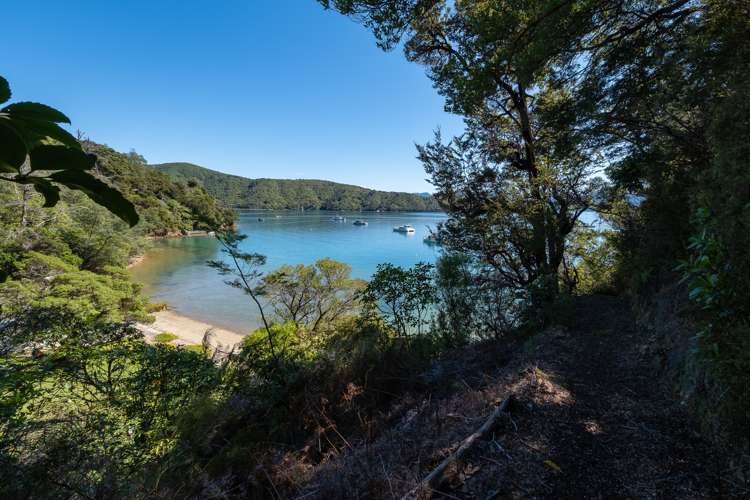 Port Underwood Road Port Underwood_12