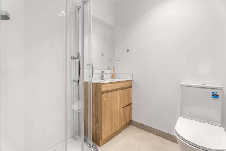 45 Raupeti Lane 11401_10