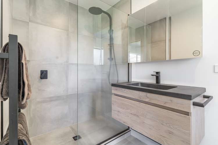 197b Captain Springs Road Onehunga_8