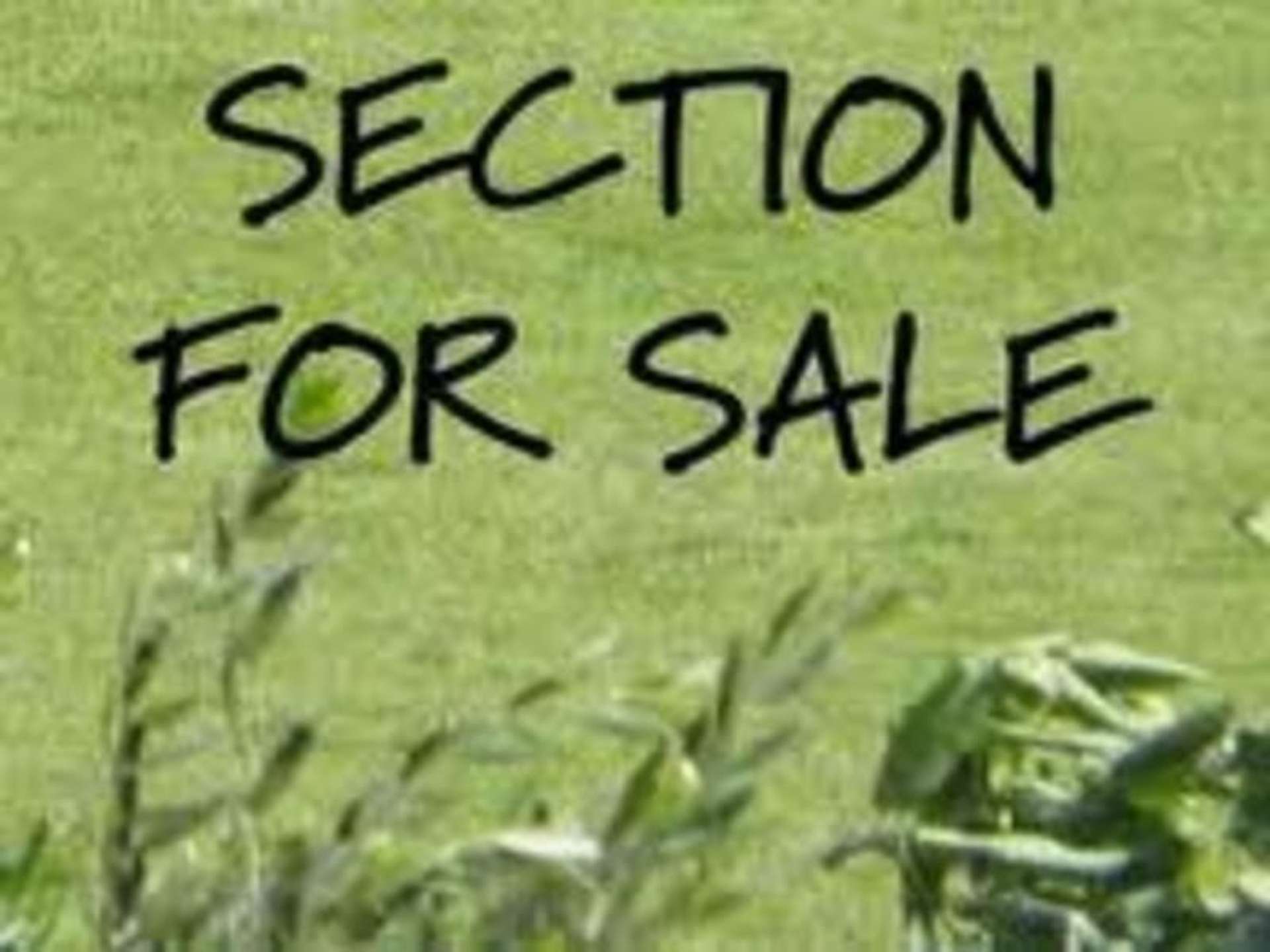 5 Myland Drive Hobsonville_0