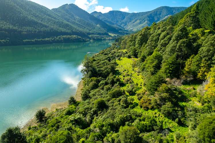 Four Fathom Bay Kenepuru Sound_7