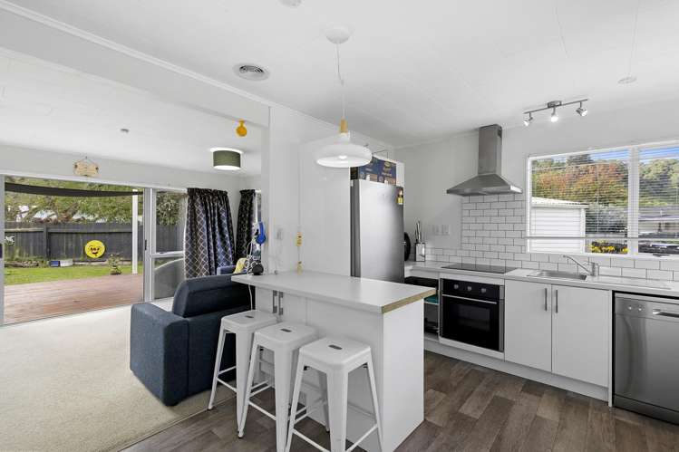 1/4 Beryl Grove Birchville_3