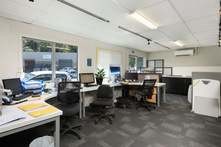 102 Birch Avenue Judea_7