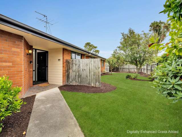 11 Thomson Street Tinwald_3