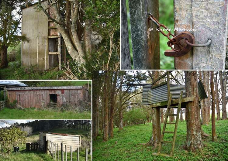 726 Paparoa Station Road Maungaturoto_78