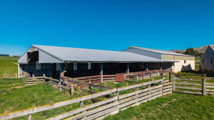 467 Waihaorunga Back Road Waimate_8