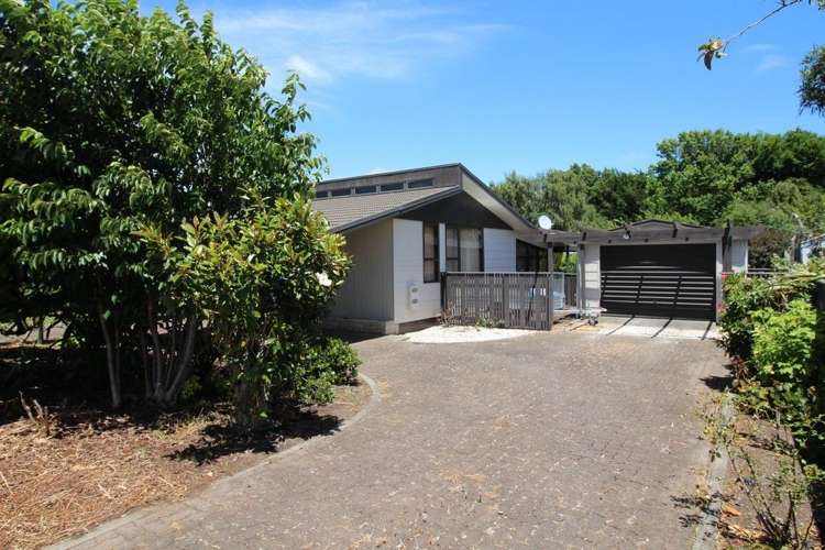 15 Wilson Street Bulls_46