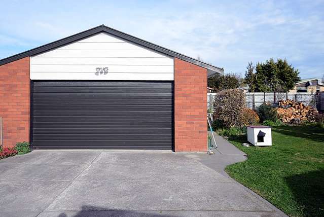 122 Elizabeth Avenue Rakaia_3