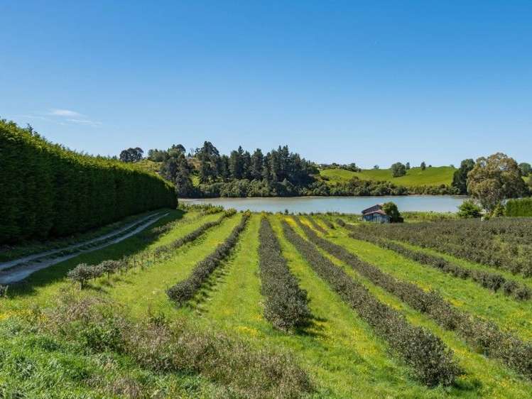 1 Apple Valley Road East Mahana_1