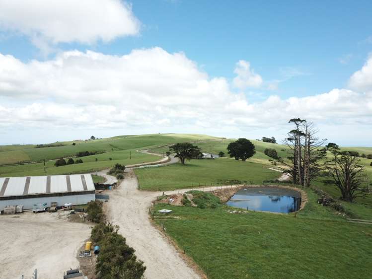 689 Mangatu Road Dargaville Surrounds_11