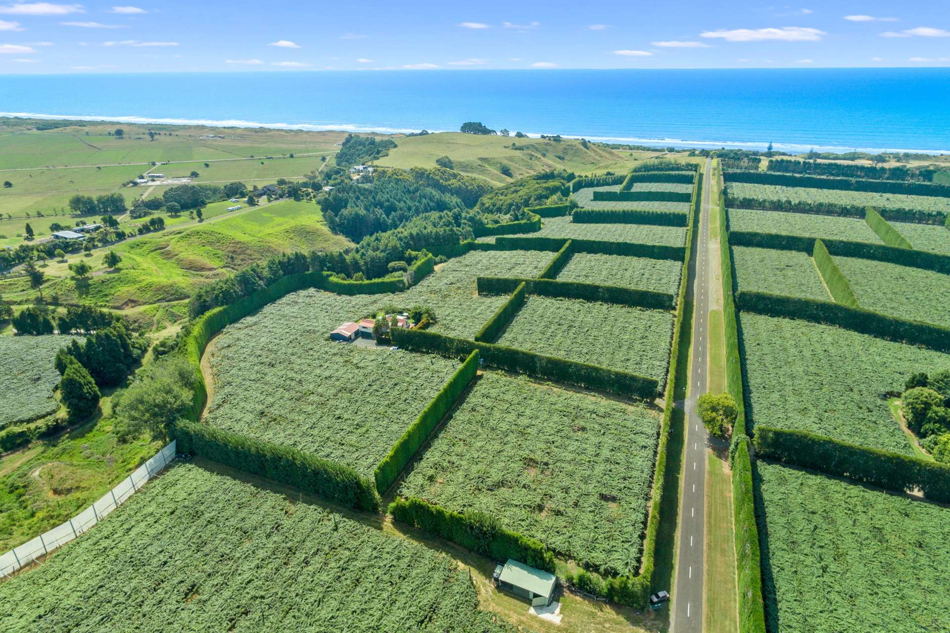 106 Beach Road Opotiki Coastal_0