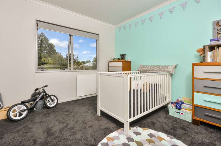 958 Kahikatea Flat Road Waitoki_8