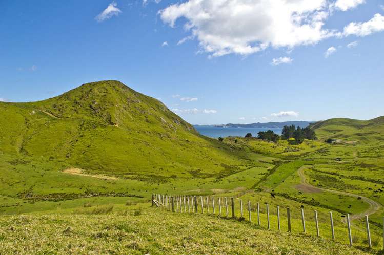 621 Black Jack Road Opito Bay_13