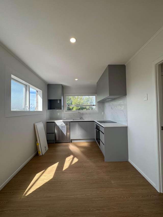 St Johns Road St Heliers_2