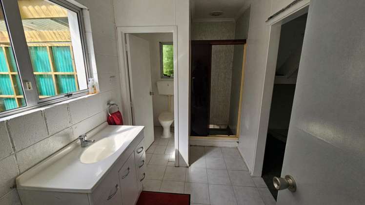 275a Carrington Street Vogeltown_14