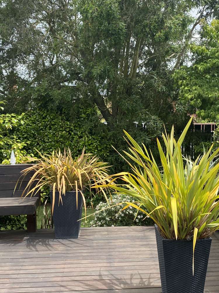 96 Middle Road Allenton_59