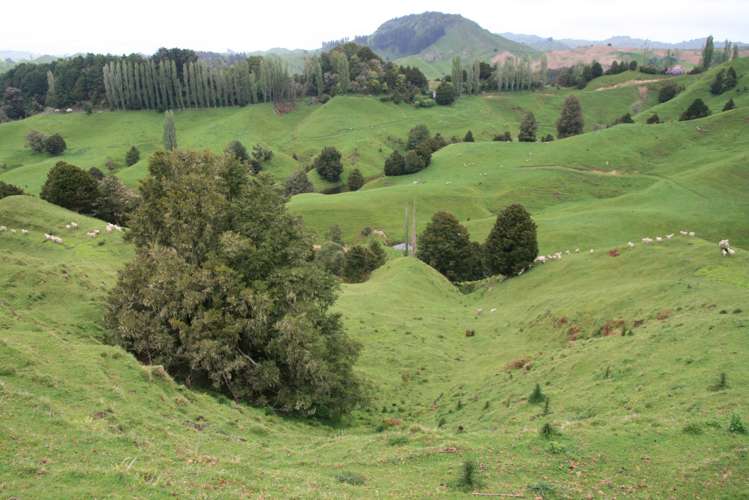 200 Tahora Road Tahora_6