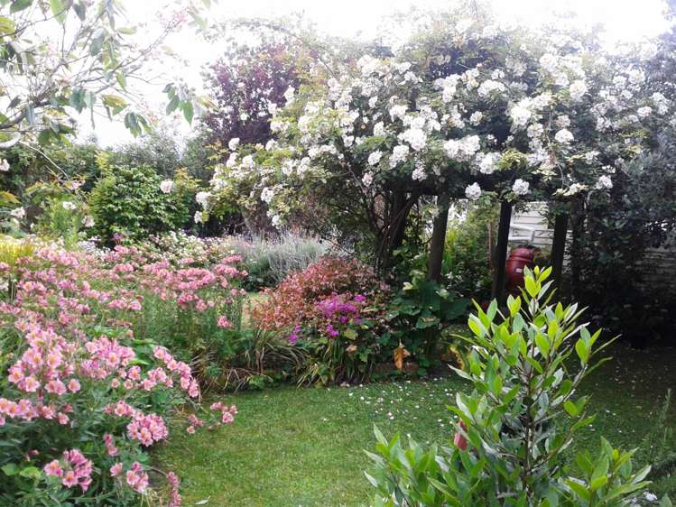 15 Cowper Street Devonport_2