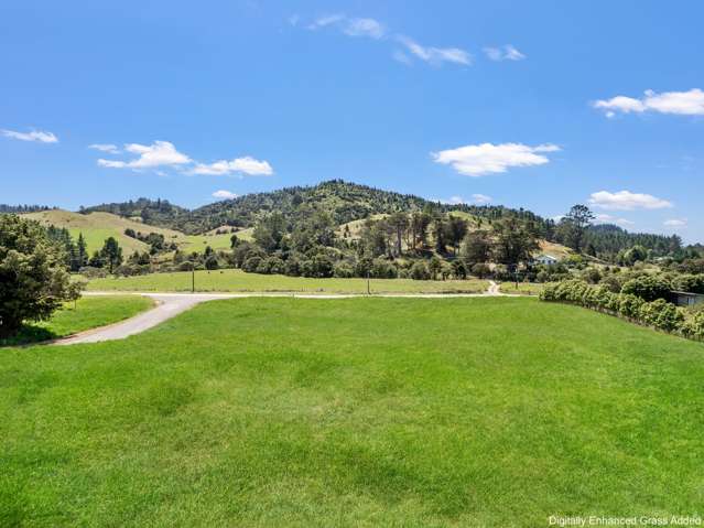 227 Kaimarama Road Whitianga_3