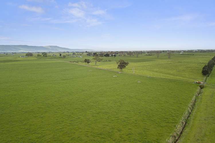 Wardville Road Wardville_9