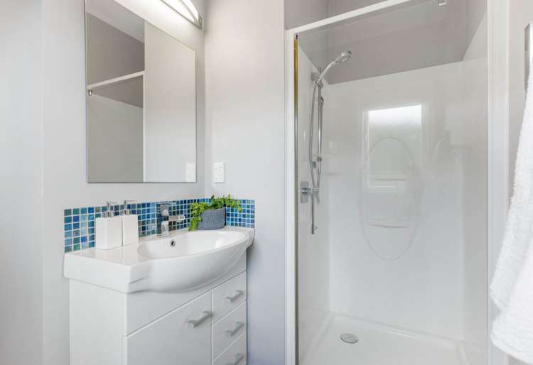 Riddell Road Glendowie_13