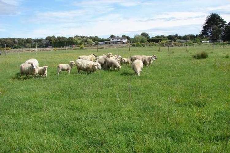 721 Queens Drive Waikiwi_0