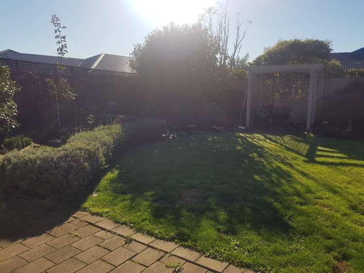 55 Lowry Avenue Redwood_21
