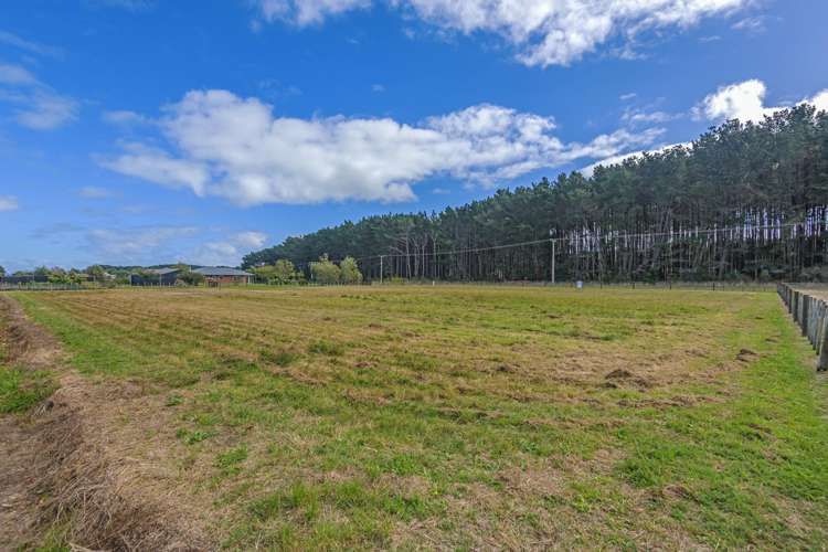 3 Carex Grove Foxton Beach_6