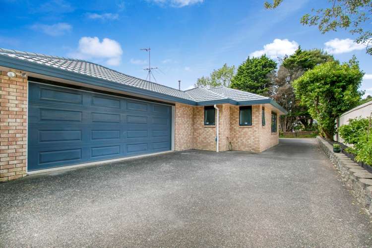 113a Astley Avenue New Lynn_10