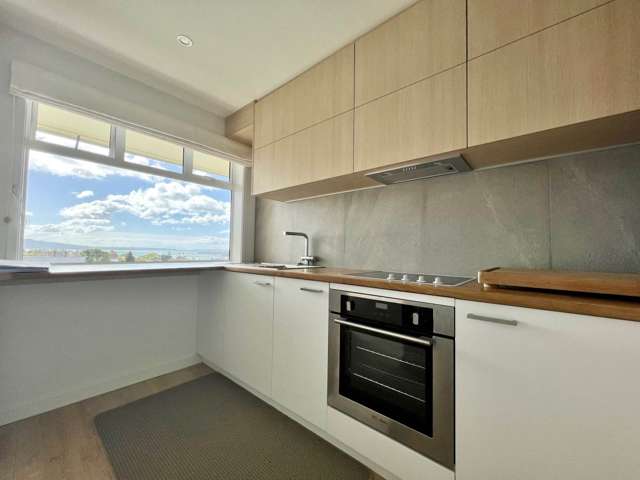 9/10 Brighton Road Parnell_1