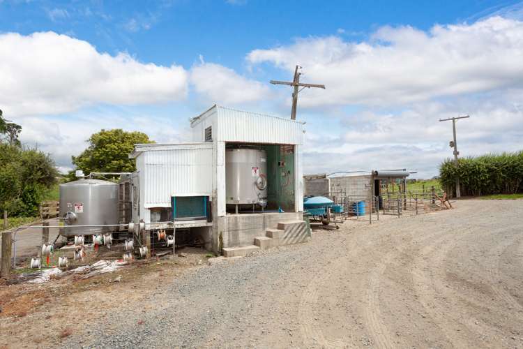 83 Waikuku Road Morrinsville_8