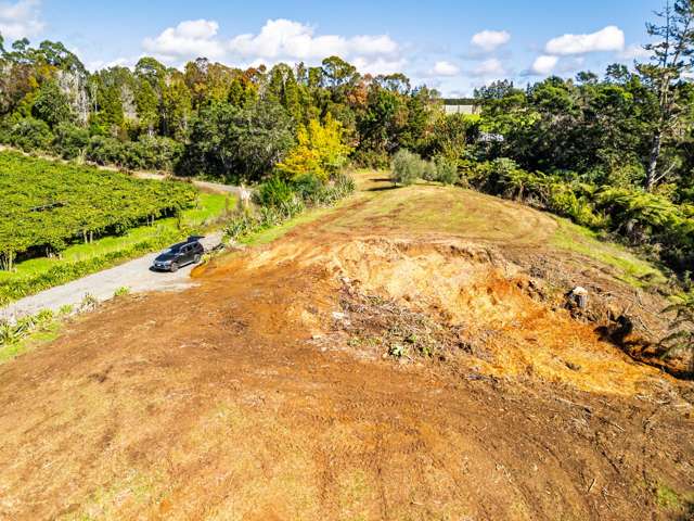 Lot 3/26 Tanekaha Lane Kerikeri_1
