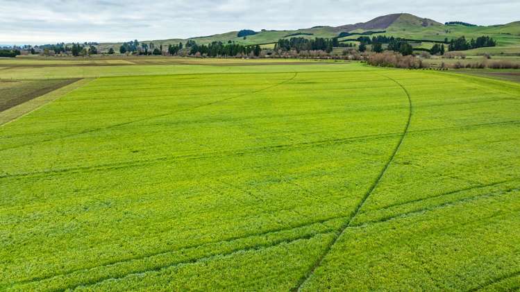 205 Barrs Road Sheffield_4