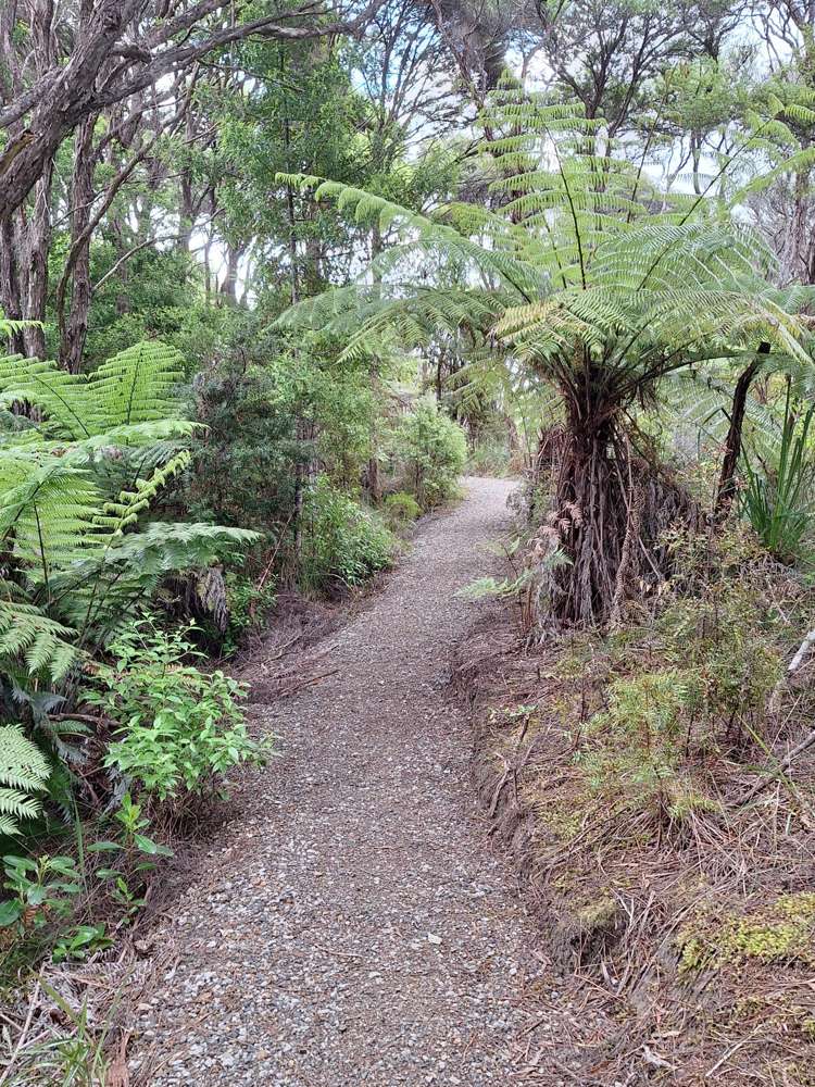17 Carol Lee Place Albany Heights_30