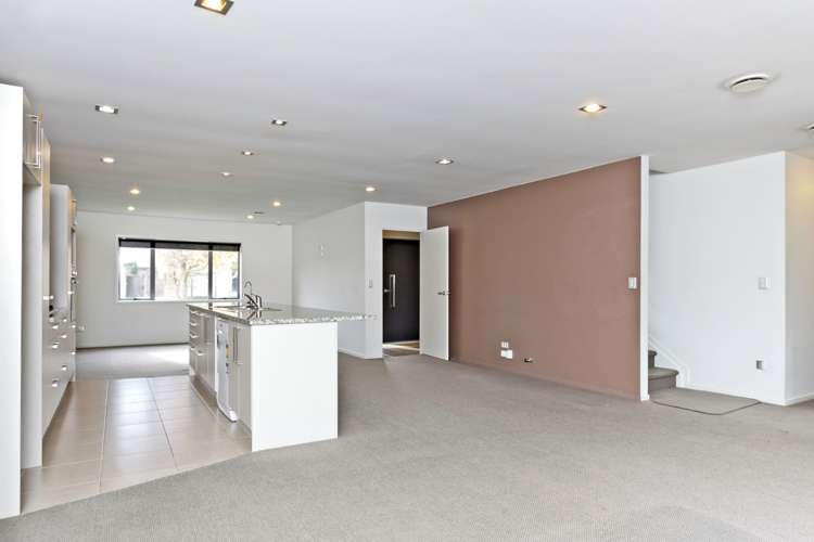 15 Birchlands Road Flat Bush_0