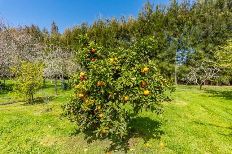 35 Whelans Road Levin_9