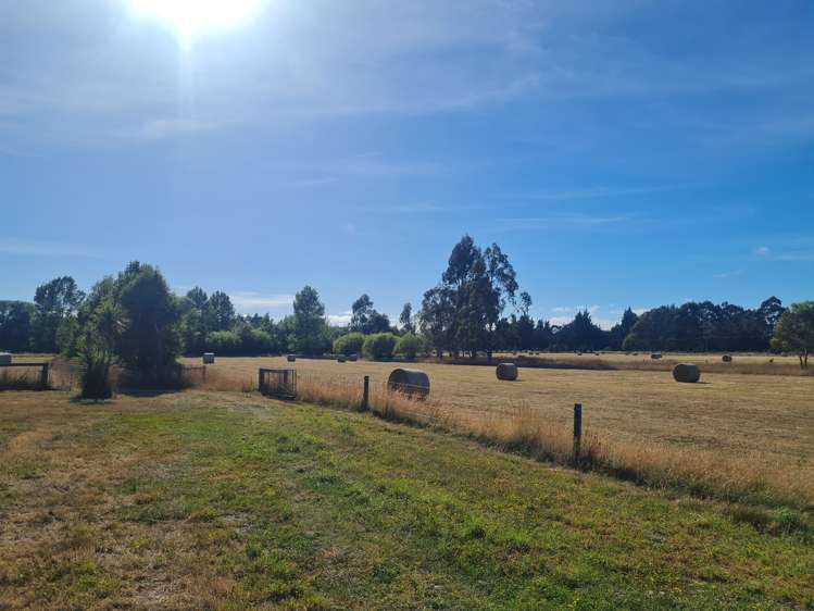 430 Birch Hill Road Okuku_10