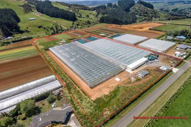 379 Razorback Road Pokeno_2