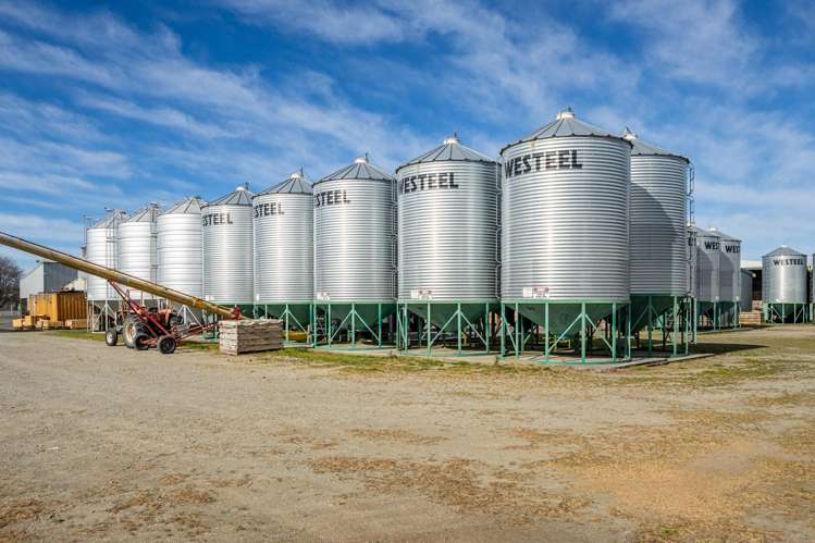 20 Framptons Road Hinds_3